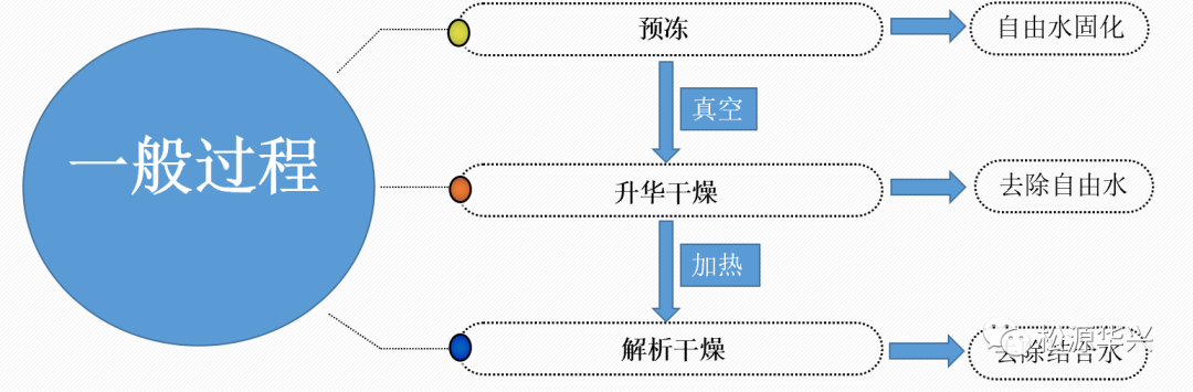 藥用凍干機(jī)